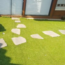 더그린 조경용 옥상 인조잔디 국내생산 200cm x 200cm E-16 20 30, 선택2)E-16mm(200cm x 200cm), 1개