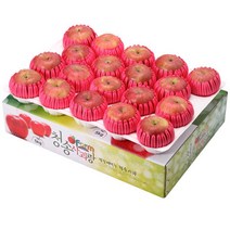 [우체국쇼핑] 청송사과 선물세트 팬캡포장-M05-4kg(왕특상품)[9~10과]특대과-팬캡포, 상세 설명 참조