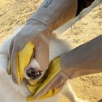 핸드맥스 헤스티아 반려동물 고양이 개 강아지 할큄 물림 입질 방지 장갑, 11호