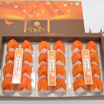 상주 대봉반건시곶감 선물세트 『특』90~140g