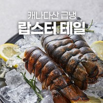 캐나다 랍스터 테일 랍스타 꼬리 시세 220g 바닷가재