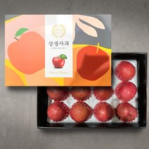 (더조은푸드) 명품 사과 선물세트 5kg, 명품 사과 선물세트 5kg(16과)