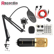 GAM-800F 라이브 장비 사운드 카드 세트 BM800 KTV 노래 및 녹음 홈 레코딩 스튜디오, [01] GAM-800F BG