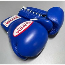 스칸다 재패니스 스피릿 레이스업 복싱글러브 블루