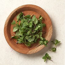 브랜드없음 [낭만푸드]애플민트 10g, 단품없음