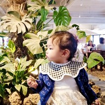 BayKids 무형광 미디엄 롤링, 8) 미디엄 롤링턱받이 무지 베이지