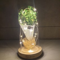 시들지 않는 홀로그램 장미 안개 꽃다발 무드등 기념일 생일선물 장미무드등 led무드등, 초록