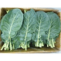 신선따옴 케일 1kg/2kg, 2kg, 1개