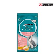 원캣 1세이하 키튼 1.4KG/어린고양이