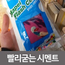 PGM1*^몰빨리굳는 시멘트 균열 보수 공사 미장 난간 집수리 접착 고정용 바닥 가정용 인테리어 보수용^*1췤pgm, *^^옵션*^시멘트-회색