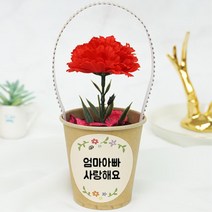 쉬운 어버이날 카네이션 종이컵화분 방향제 만들기 5인 3세 4세 부모님 유치원미술수업 DIY