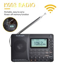 휴대용 라디오 AM FM SW 단파 스피커 지원 TF 카드 블루투스 USB REC 디지털 레코더 수신기, 한개옵션0