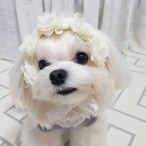 핑키밍키 풍성한 장식 강아지 헤어밴드&스카프 머리띠 삔, 1개입, 플라워 (크림화이트)