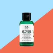 더바디샵 스킨/토너 티트리 스킨 클리어링 매티파잉 토너 60ML, 1개