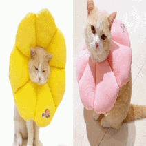 강아지 고양이 방수 쿠션넥카라 꽃모양 중성화수술후 관리 오버그루밍방지, 옐로우/L