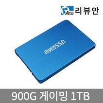 리뷰안 900G 게이밍 DRAM탑재 SATA SSD, 1TB, 용량