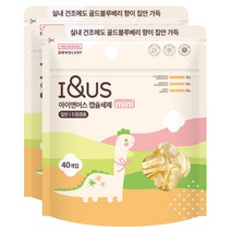 [아이앤어스] 캡슐세제 mini 골든블루베리향, 2팩(80개입)