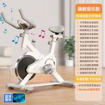 스피닝자전거 스핀바이크 헬스장 사이클 실내용 663075, 플래그십 모델-IPAD 스탠드-블루