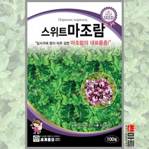 스위트마조람 100립 / 다년생 허브씨앗 씨앗 화단 정원 꽃밭