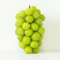 충북 영동포도 사인머스켓 포도제철 과일 고당도 샤인머스켓, 샤인머스켓 4송이