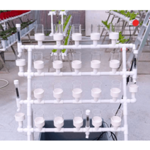 수경 재배기 식물 수직농장 물심기 쌈채소 실내 야채, 투명(물탱크x)