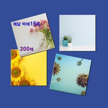 예닮 정사각형 메모지 16종 다꾸용품 무지 떡메모지 캐릭터 귀여운 감성 예쁜 메모지 메모노트 칼라 메모장 메모패드 떡메 메모패드 도안 인쇄 2권, 리시안셔스