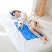 하우스터 여름 아이스 냉 쿨젤 침대 쿨매트 싱글매트+ 베개 1p 클래식
