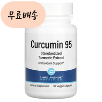 레이크애비뉴뉴트리션 커큐민 Curcumin 95 500m.g 30개입 1개, 30정, 30정