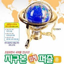 3D 입체 지구본 퍼즐_ 중