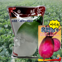청운무씨앗 40000립 23년포장 대용량김장무씨앗, 1개