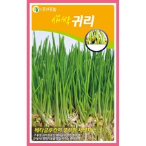 새싹귀리씨앗 12g