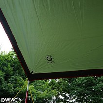 위오 렉타타프L 라이너, 코요테