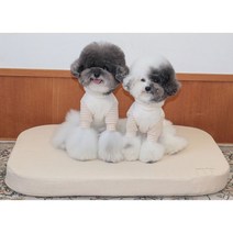 에덴숑 국내제작 강아지 천연라테스 방수커버 사계절 구름 쿠션 방석