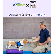 Fitpaws 핏포즈 강아지 훈련 노견 슬개골 디스크 허리 재활 치료 운동 짐볼 K9FITbone, 미듐 1세트, 블루