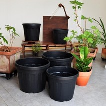 가재울산업 이탈리아 그레이트 낮은포트 대형 고무 화분 D45L 5697-5609756ea, gajae6526 본상품선택