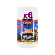 뉴질랜드 그린탑 초록홍합 2000mg 300캡슐 x6 초록입홍합추출물 오메가3 함유, 6box