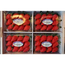 설향 딸기 산지직송 최상급 가락시장 과일 / 500g 1kg 2kg