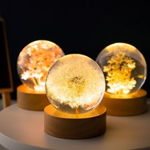 3D LED 민들레 무드등 크리스탈 수정구슬 너도밤나무 스탠드조명 플라워 꽃 선물, 6cm-Yellow daisy