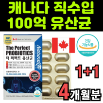 유산균 백억 cfu 신바이오 보장균수 브로바이오틱스 아이 작은 미니 캡슐 중년층 대사산물 유산귤 대용량 고함량 수입산 남노서스 임산부 임삼부 람노시스 루데리 혀소 켑술 컵셀 캅술, 2박스(4개월분)