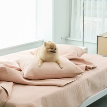 반려동물과 함께 쓰는 털 붙지 않는 나란히 스프레드, 코랄