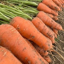 올바이썬 산지직송 든든한 국내산 흙당근 2kg 3kg 5kg 10kg 햇당근 주스용 carrot, 1개, 신선 흙당근 2kg (중)