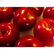 더빨간 홍옥사과 실중량 4kg 8kg 홍옥 햇사과 사과, 1개, 4kg(28과이내)