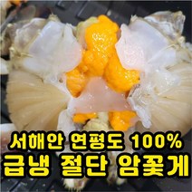 국산 서해안 연평도 냉동 급냉 알배기 절단 암꽃게 1kg