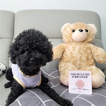 꼬잇 도어사인 강아지 고양이 디자인 문패 강아지가 짖어요 아크릴 스티커, 강아지_슈나우저
