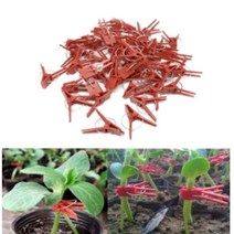 접목집게 접붙이집게 접목클립 접목크립, 일자