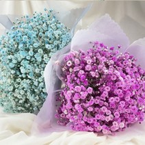예쁜꽃다발 생일꽃배달 생화꽃다발 안개꽃다발 핵가성비에디션, 판타지 라벤더_선물포장