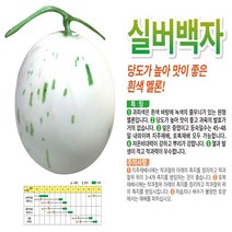 실버백자 멜론 씨앗 100립