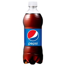 롯데 펩시콜라 업소용 500ml x 20PET, 상세페이지 참조