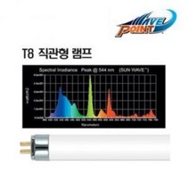 [일급수] 웨이브포인트 T8 직관등[썬 웨이브 10000K]40W /수족관 램프 등커버 형광등 조명