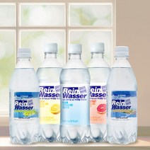 동아오츠카 [동아오츠카] 라인바싸 탄산수 500ml 총 40입 (택2/샤인머스캣.파인애플.플레인.레몬.자몽/20입 2박스), ★샤인머스캣 1박스/레몬 1박스